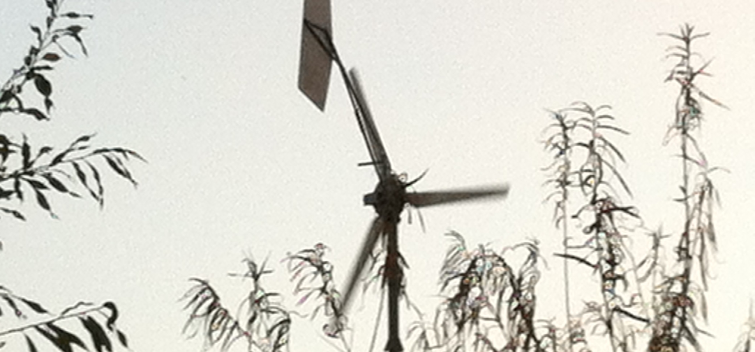 The Back Shed - Windenergy.nl